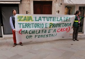 forestali(1)